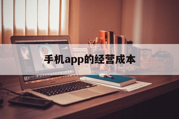 手机app的经营成本(app运营成本预算项目有哪些)