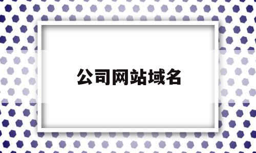 公司网站域名(公司网站域名有中文和英文吗)