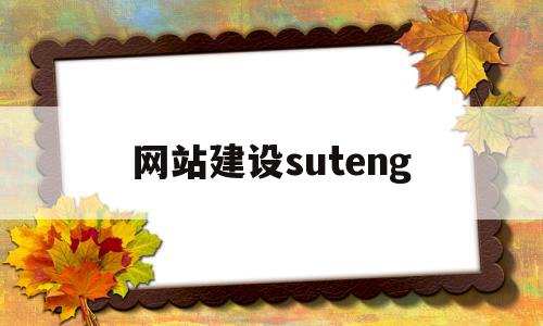 网站建设suteng(网站建设哪个公司比较好)