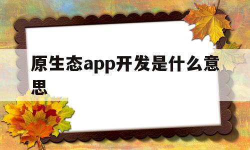 原生态app开发是什么意思(原生态app开发是什么意思呀)