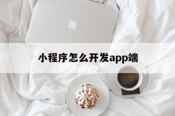 小程序怎么开发app端(“小程序怎么开发自己的小程序”)