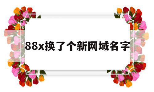 88x换了个新网域名字(网站换域名了进不去怎么办)