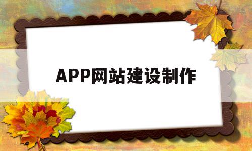 APP网站建设制作(app网站建设哪家好)