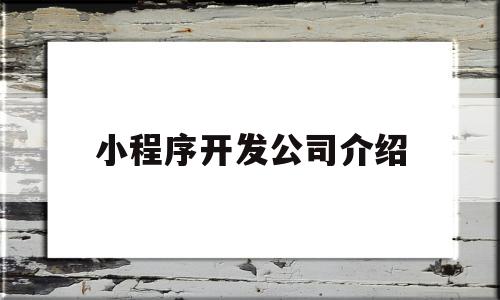 小程序开发公司介绍(小程序开发公司介绍文案)