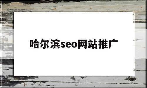 哈尔滨seo网站推广(SEO网站推广与优化方案)