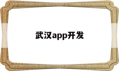 武汉app开发(武汉app开发公司前十名)