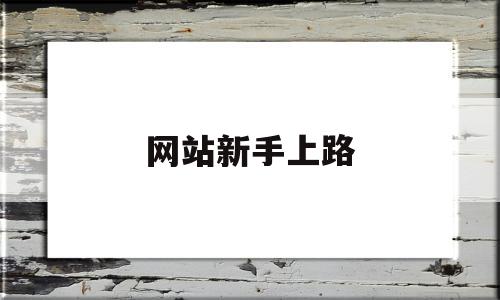 网站新手上路(高速新手上路要求),网站新手上路(高速新手上路要求),网站新手上路,高级,第1张