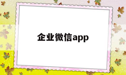 企业微信app(企业微信app是什么意思)