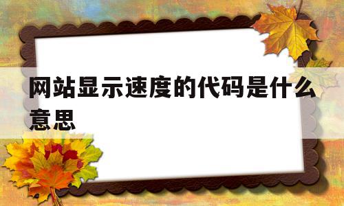 包含网站显示速度的代码是什么意思的词条