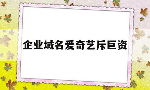 企业域名爱奇艺斥巨资的简单介绍