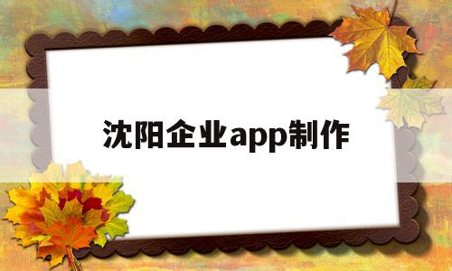 沈阳企业app制作(沈阳做app的公司有哪些)