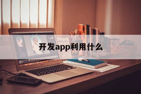 开发app利用什么(开发app利用什么不同)