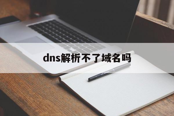 dns解析不了域名吗(dns解析后的ip访问不了)