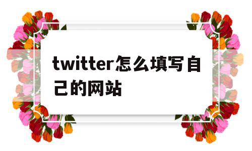 twitter怎么填写自己的网站的简单介绍