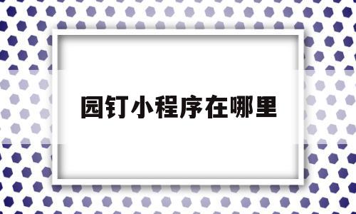 园钉小程序在哪里(园钉教育平台怎样能查到自己孩子的成绩)