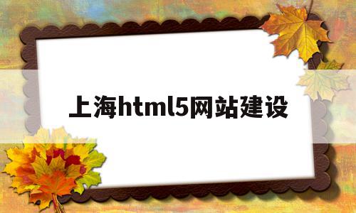 上海html5网站建设(上海网站建设技术支持)