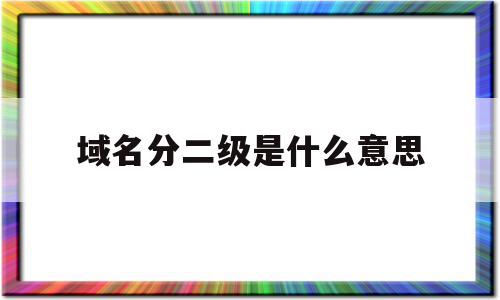 域名分二级是什么意思(域名分二级是什么意思呀)