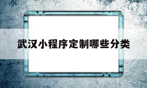 武汉小程序定制哪些分类(武汉微信小程序开发公司哪家好?)