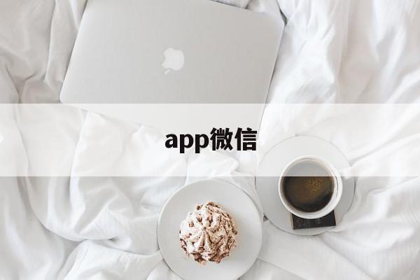 app微信(app微信下载)