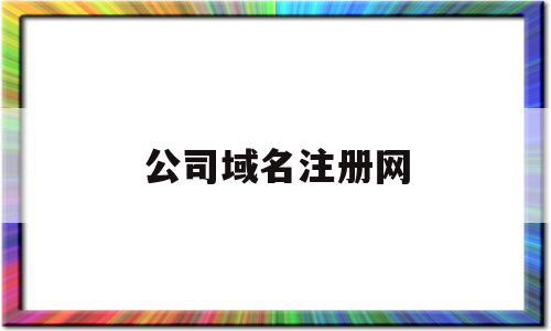 公司域名注册网(公司 域名注册 流程)