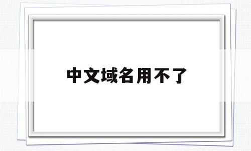 中文域名用不了(中文域名用不了怎么办)