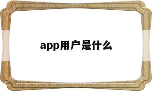 app用户是什么(app用户名是什么意思)