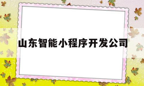 山东智能小程序开发公司的简单介绍