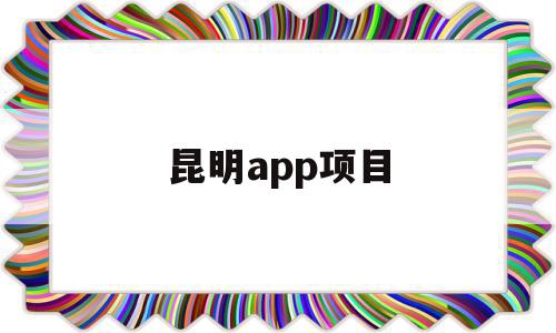 昆明app项目的简单介绍