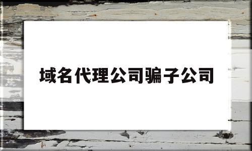 域名代理公司骗子公司(域名代理服务是什么意思)