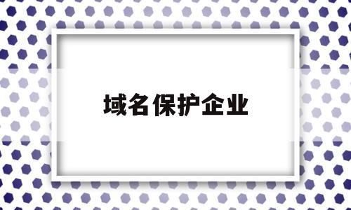 域名保护企业(域名保护企业名单)