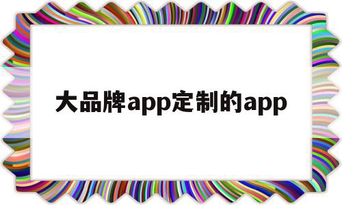 关于大品牌app定制的app的信息