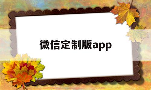 微信定制版app(微信定制版app魅蓝下载)