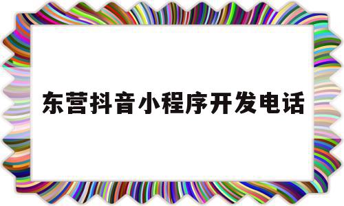 东营抖音小程序开发电话(抖音小程序开发用什么语言)