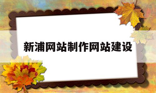 包含新浦网站制作网站建设的词条