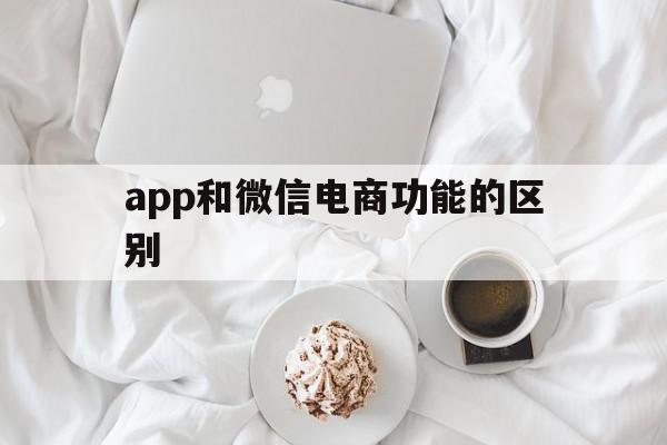 app和微信电商功能的区别的简单介绍