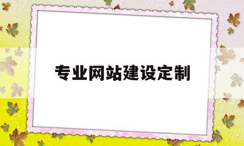 专业网站建设定制(定制型营销网站建设)