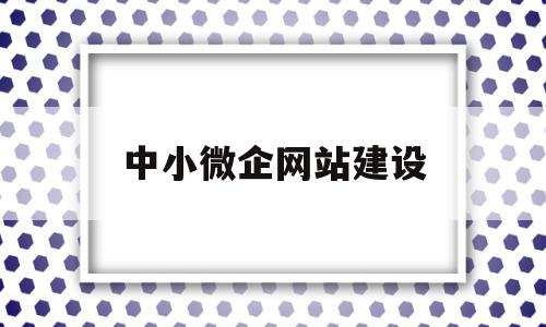 中小微企网站建设(中小微企业服务平台)