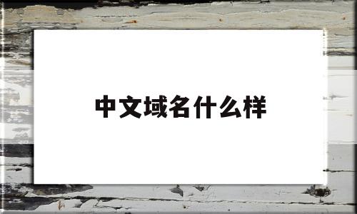 中文域名什么样(中文域名有什么用)