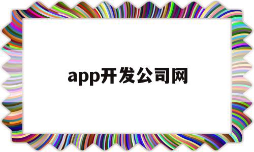 app开发公司网(app开发公司网站)