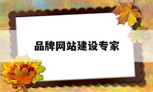 品牌网站建设专家(品牌网站建设专家是什么)