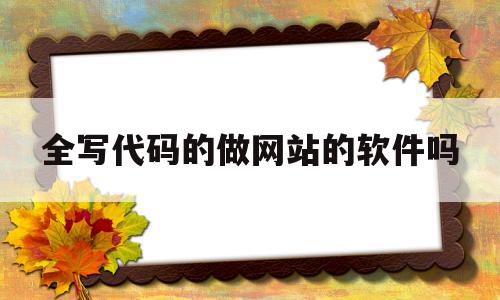 全写代码的做网站的软件吗的简单介绍