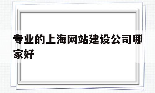 专业的上海网站建设公司哪家好的简单介绍,专业的上海网站建设公司哪家好的简单介绍,专业的上海网站建设公司哪家好,模板,营销,科技,第1张