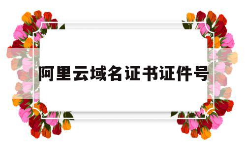 阿里云域名证书证件号(阿里云域名证书在哪里看)