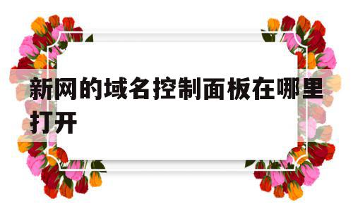 新网的域名控制面板在哪里打开(新网的域名控制面板在哪里打开啊)