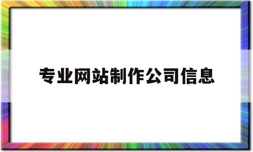 专业网站制作公司信息(专业网站制作公司信息怎么写)