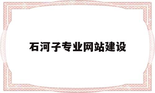 石河子专业网站建设(石河子招标网招标公告)