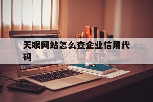 天眼网站怎么查企业信用代码的简单介绍