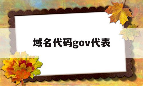 域名代码gov代表(govcn域名表示的是什么)