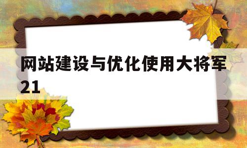 网站建设与优化使用大将军21的简单介绍