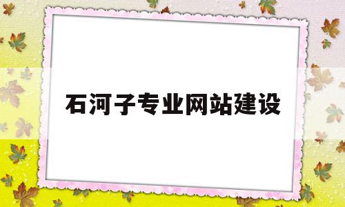 石河子专业网站建设(石河子建设工程信息网)